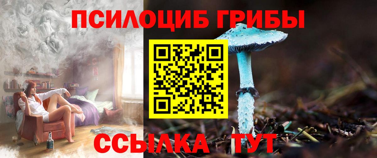 Обнинск  Галлюциногенные грибы MAGIC MUSHROOMS  Вход с VPN 