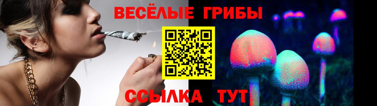Псилоцибиновые грибы GOLDEN TEACHER Обнинск